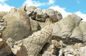 lake-winnemucca-petroglyphs-top-10