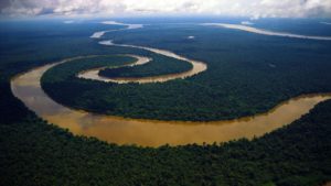 Mud River Muddy Jungle Cool Tributary Amazon Snake Forest View Windows Hd Background Images